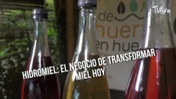 Mead: The business of transforming honey today - TvAgro by Juan Gonzalo Angel