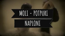 MOLI - POTPURI ( Official Audio )