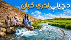 هی میدان طی میدان - ولې خلک د نذري چینې کبان نه خوري؟