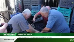 РАБОТНА РЪКА: Има ли недостиг в санданско-мелнишкия регион