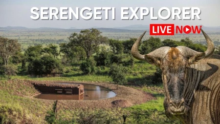 Serengeti Wildlife Safari